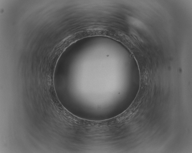 X0000074210821200609081529