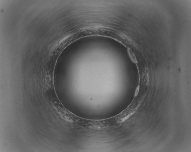 X0000074210822200609081529