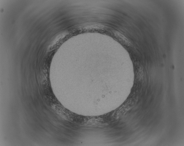 X0000074210824200609081529