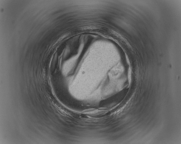 X0000074210825200609081529