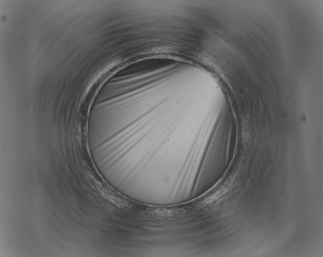 X0000074210827200609081529