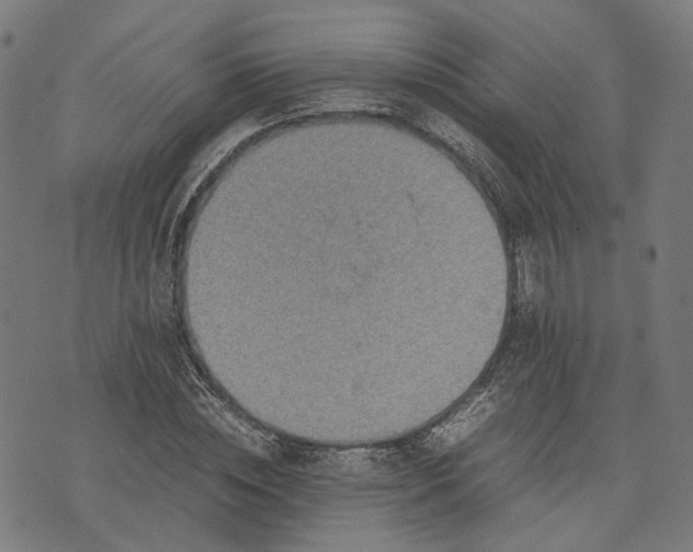 X0000074210828200609081529