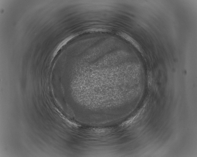 X0000074210829200609081529