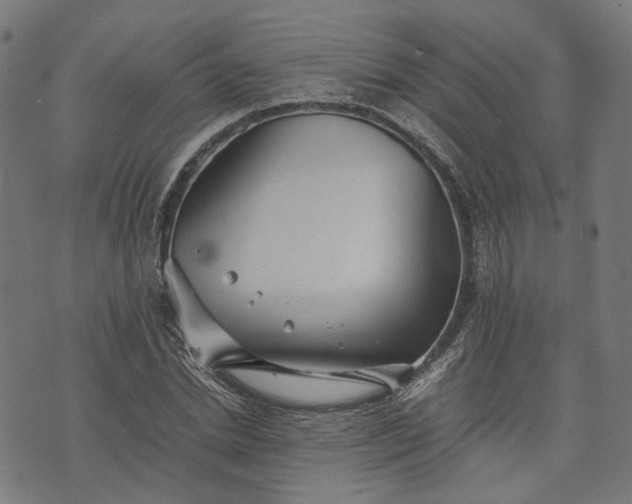 X0000074210830200609081529