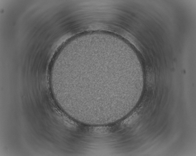 X0000074210832200609081529