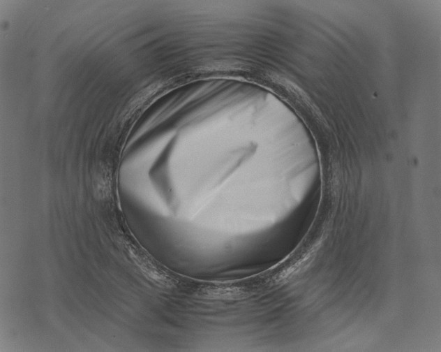 X0000074210833200609081529