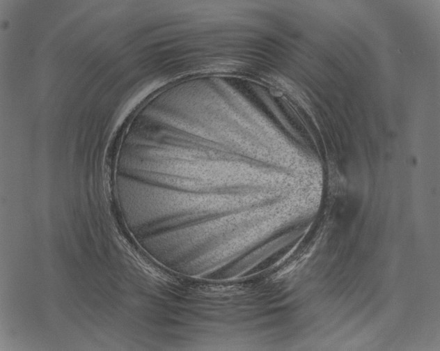 X0000074210835200609081529