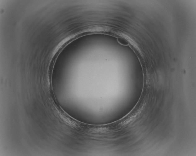 X0000074210837200609081529