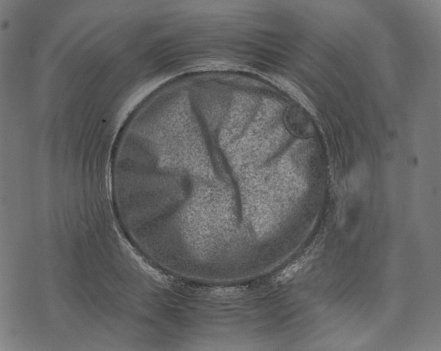 X0000074210839200609081529