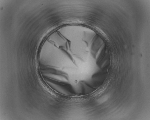 X0000074210840200609081529