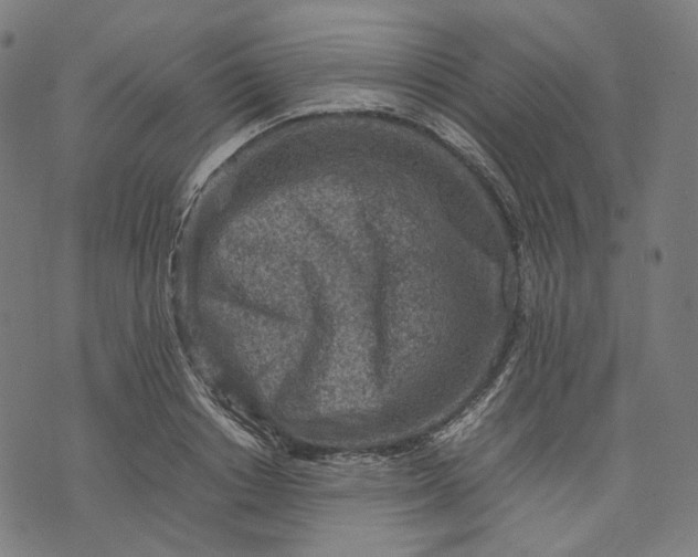 X0000074210842200609081529