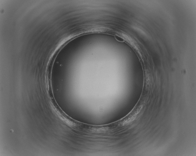 X0000074210843200609081529