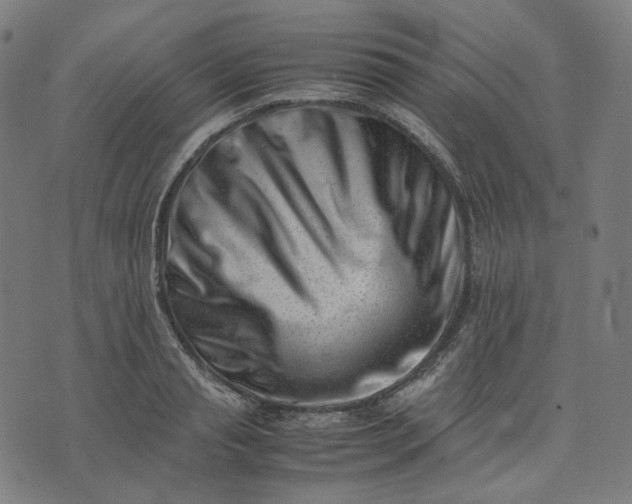 X0000074210845200609081529