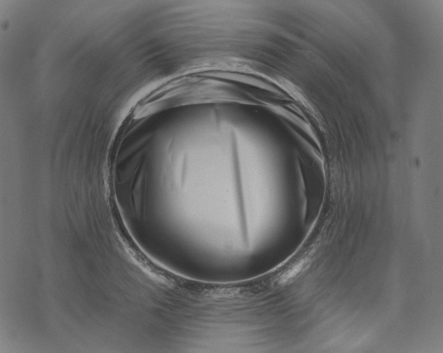 X0000074210846200609081529