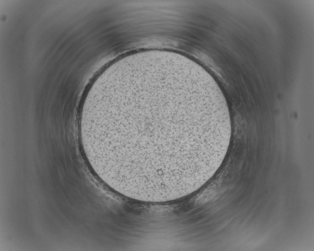 X0000074210848200609081529