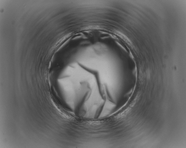 X0000074210849200609081529