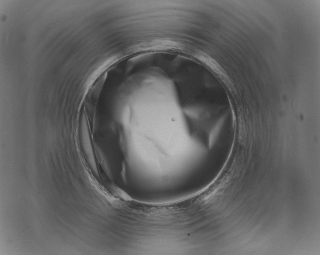 X0000074210850200609081529