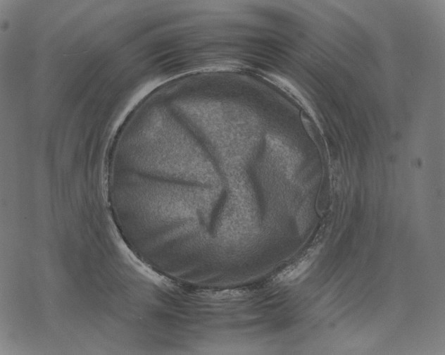 X0000074210851200609081529