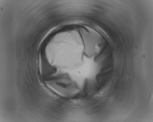 X0000074210852200609081529