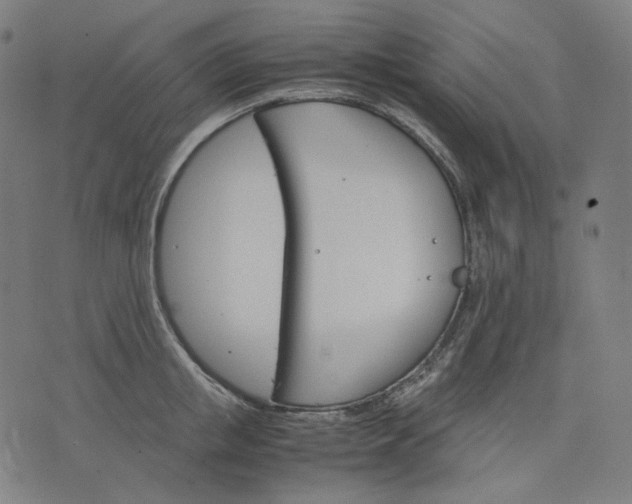 X0000074210853200609081529