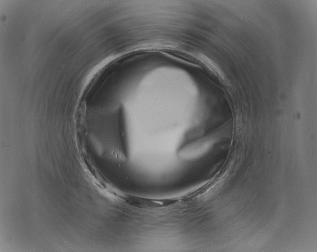 X0000074210854200609081529