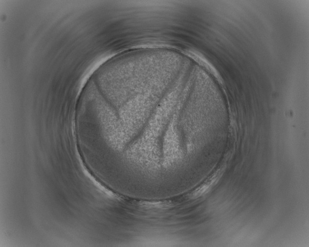 X0000074210855200609081529