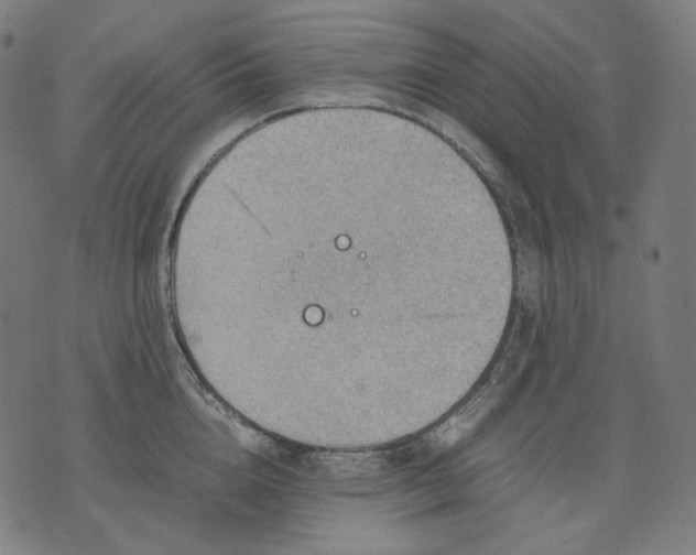 X0000074210856200609081529