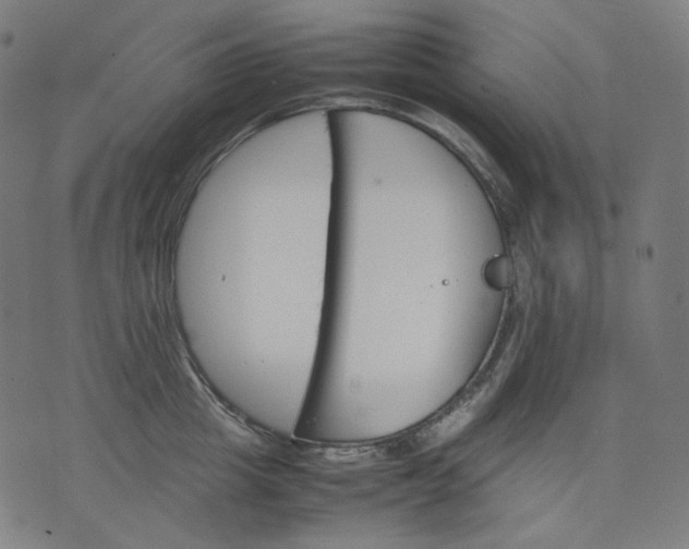 X0000074210857200609081529