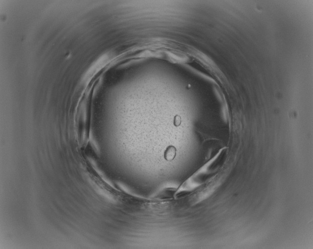 X0000074210858200609081529