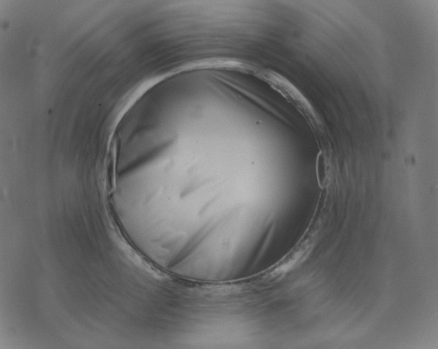 X0000074210860200609081529