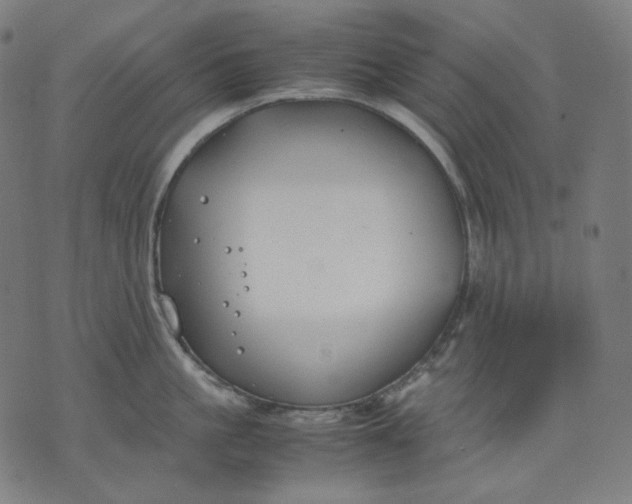 X0000074210861200609081529