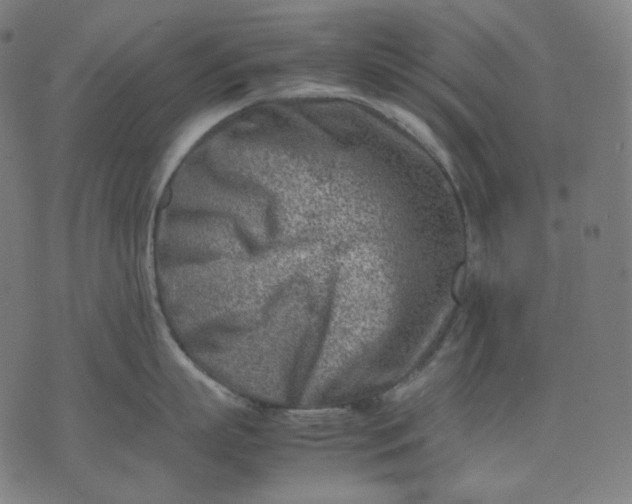 X0000074210863200609081529