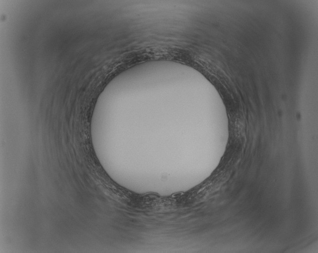 X0000074210865200609081528