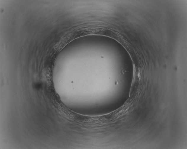 X0000074210867200609081528