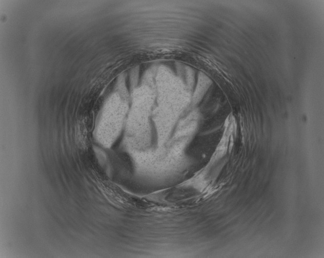 X0000074210868200609081528