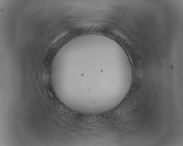 X0000074210869200609081528