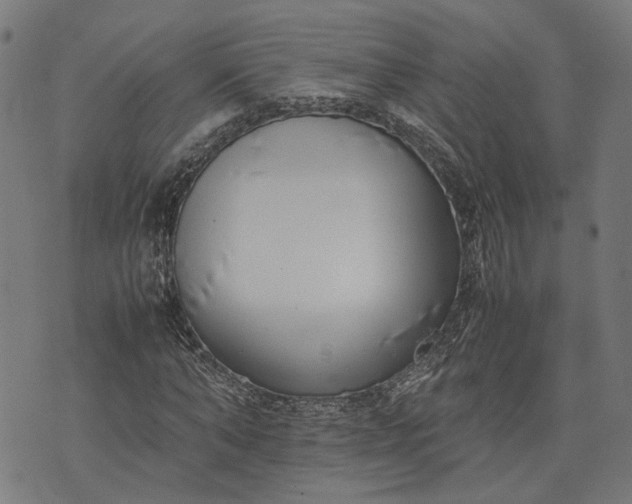 X0000074210870200609081528