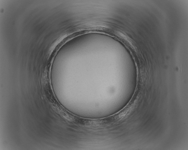 X0000074210875200609081528