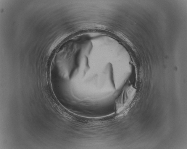 X0000074210877200609081528