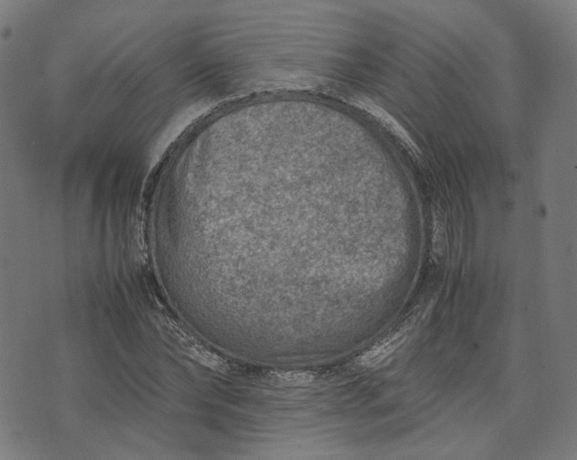 X0000074210878200609081528