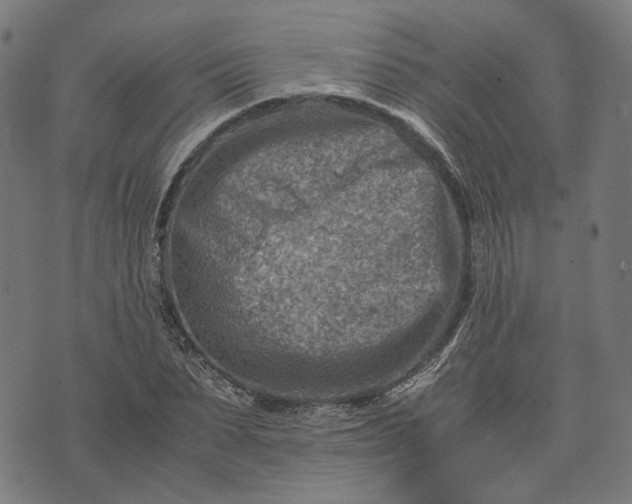 X0000074210879200609081528