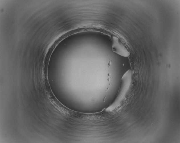 X0000074210880200609081528