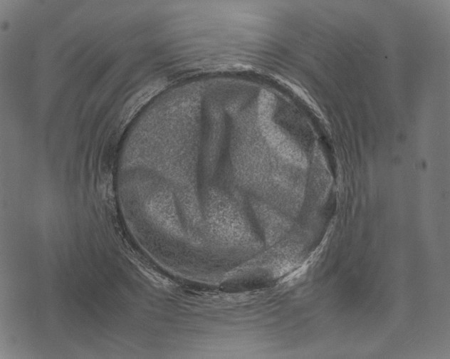 X0000074210881200609081528