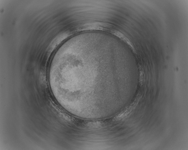 X0000074210882200609081528