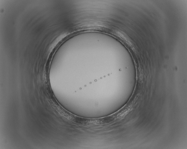 X0000074210883200609081528