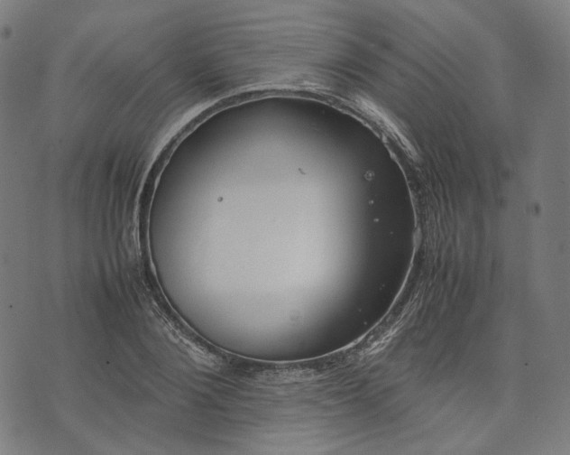 X0000074210884200609081528