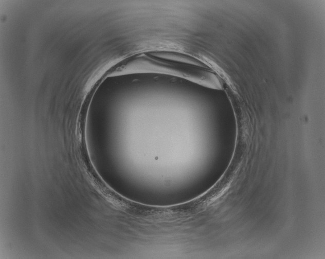 X0000074210885200609081528