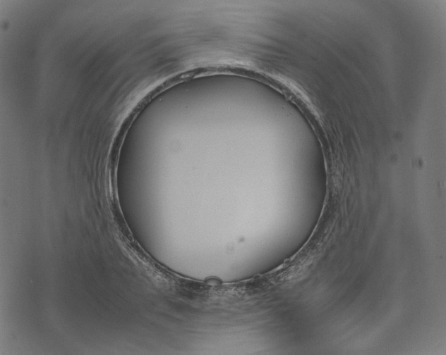 X0000074210887200609081528