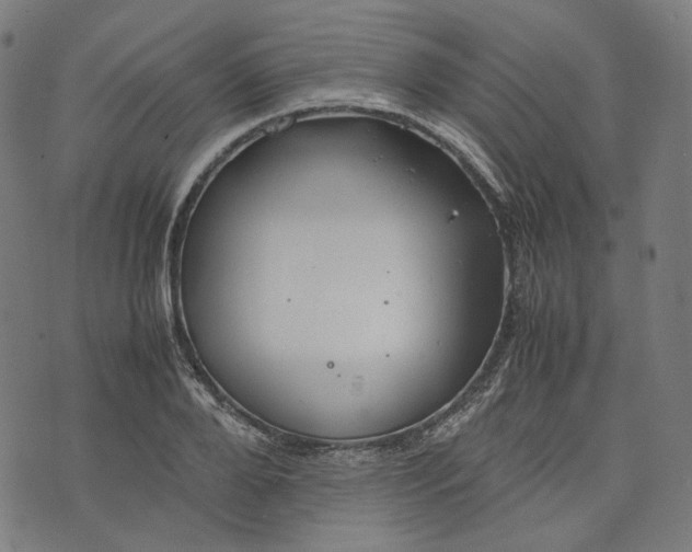 X0000074210888200609081528