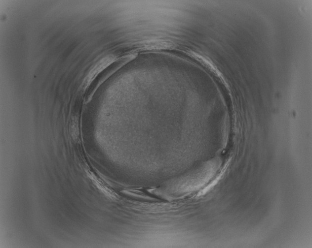 X0000074210889200609081528